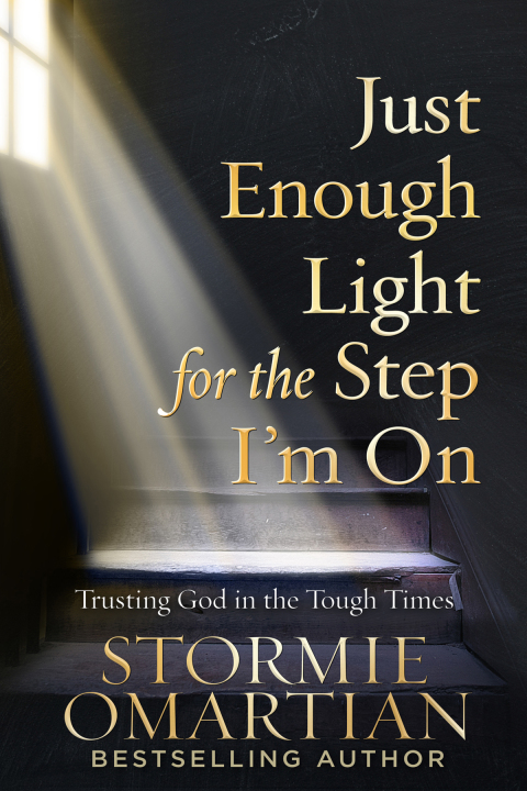 Cover image for book Just Enough Light for the Step I'm On