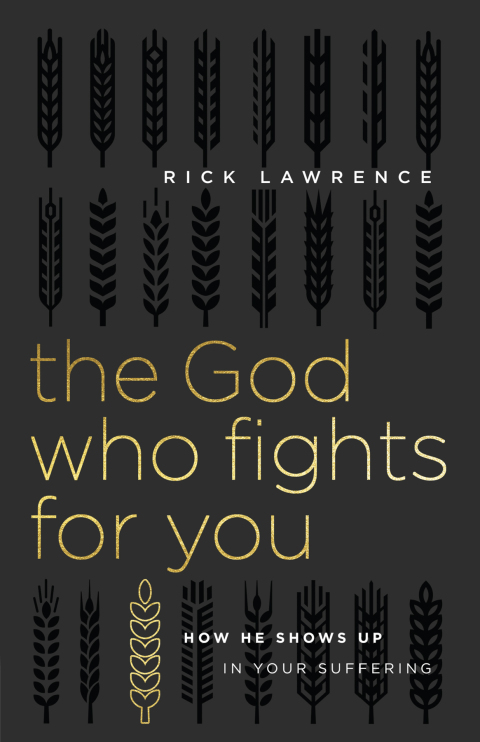 Cover image for book The God Who Fights for You