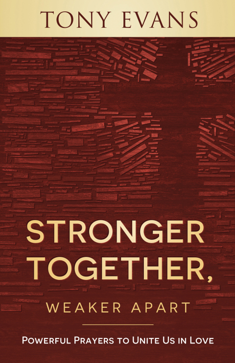 Cover image for book Stronger Together, Weaker Apart