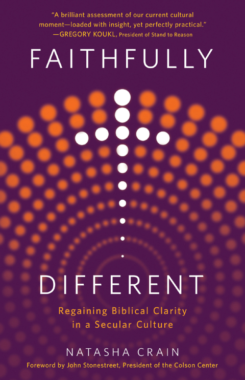Cover image for book Faithfully Different