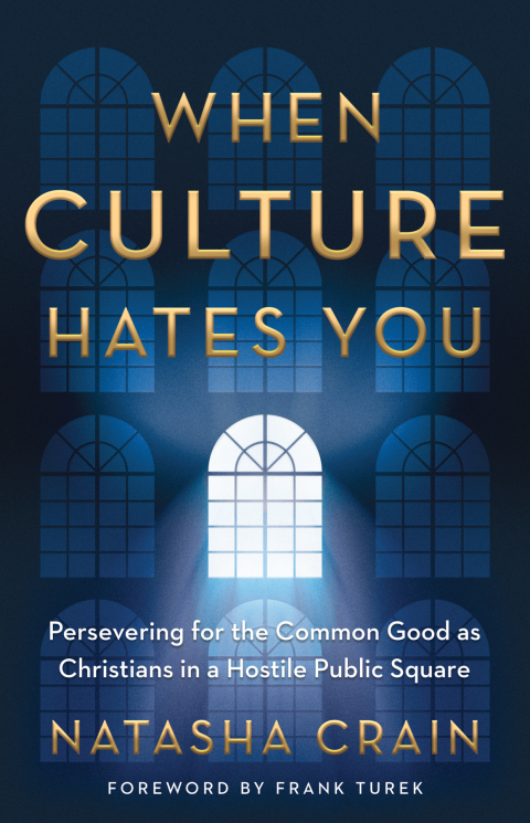 Cover image for book When Culture Hates You