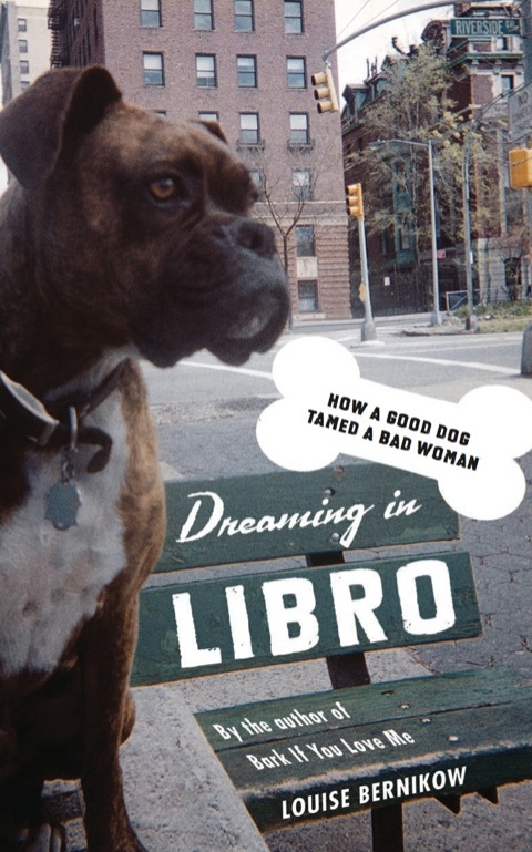 Cover image for book Dreaming in Libro