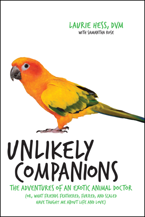 Cover image for book Unlikely Companions