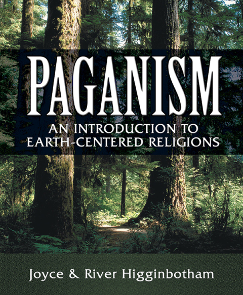 Cover image for book Paganism