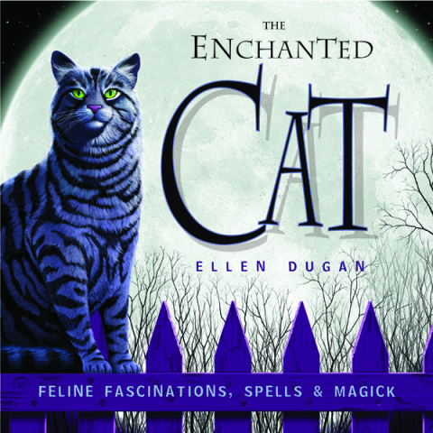 Cover image for book The Enchanted Cat