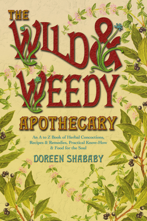 Cover image for book Wild & Weedy Apothecary
