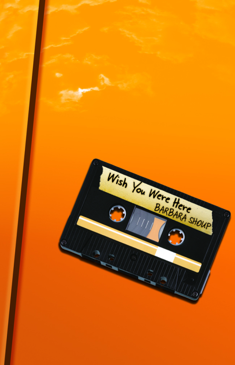 Cover image for book Wish You Were Here