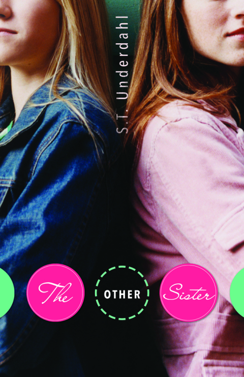 Cover image for book The Other Sister