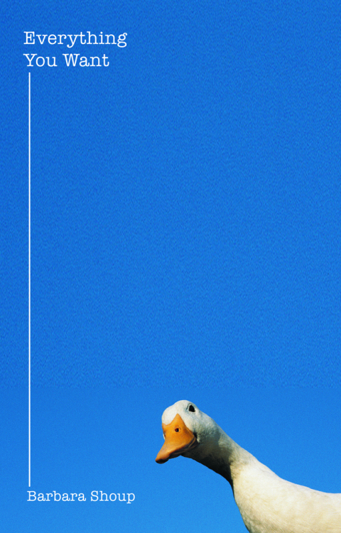 Cover image for book Everything You Want