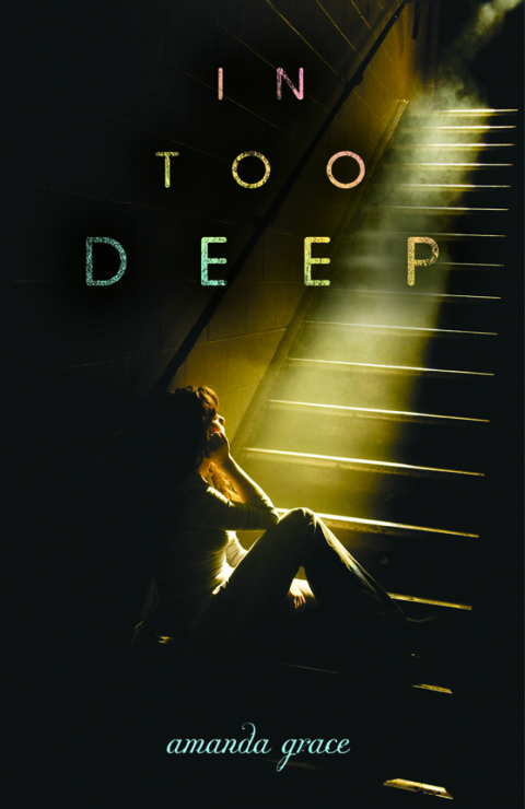 Cover image for book In Too Deep