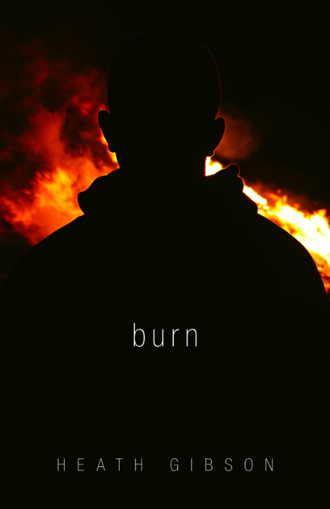 Cover image for book Burn