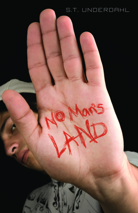 Cover image for book No Man's Land