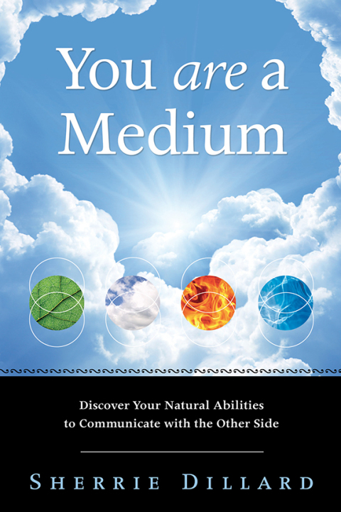 Cover image for book You Are a Medium
