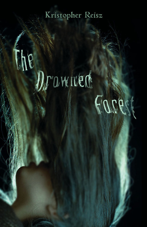 Cover image for book The Drowned Forest