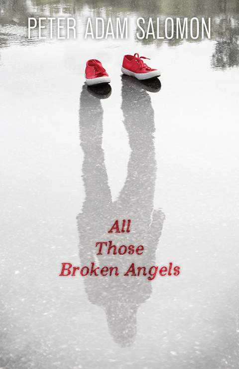 Cover image for book All Those Broken Angels