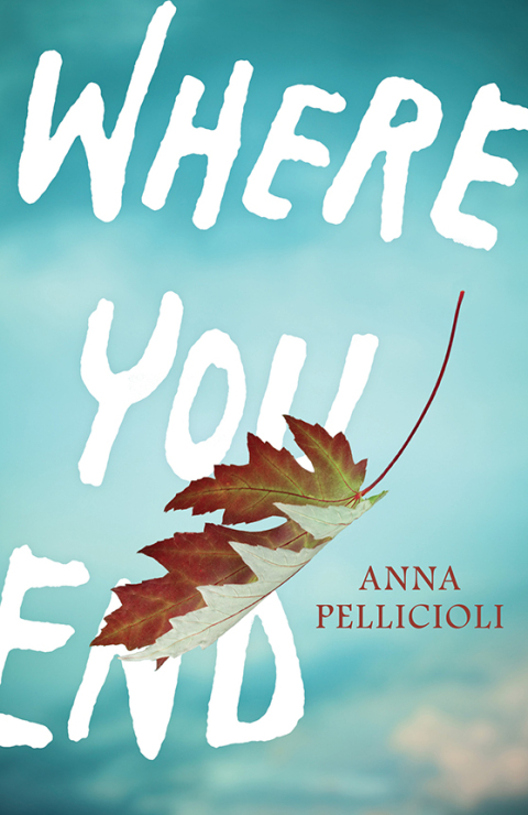 Cover image for book Where You End