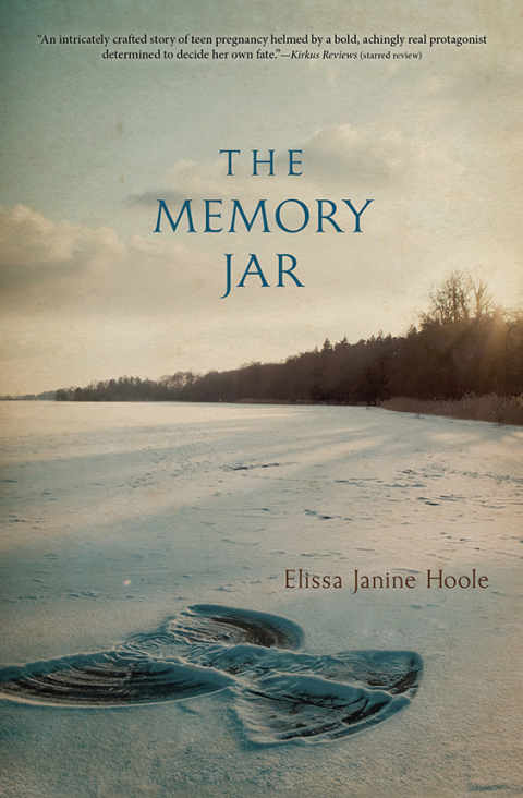 Cover image for book The Memory Jar