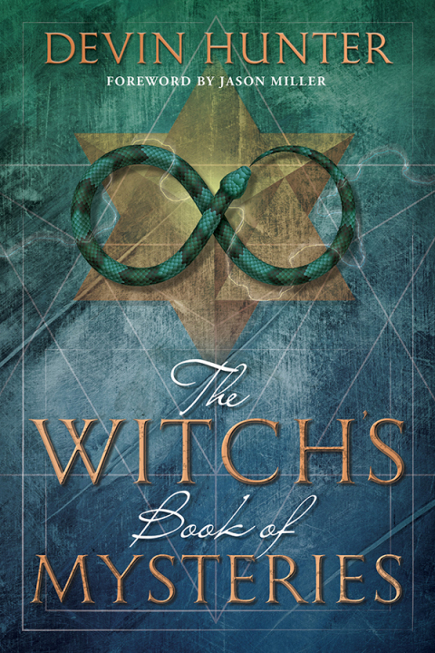 Cover image for book Witch's Book of Mysteries