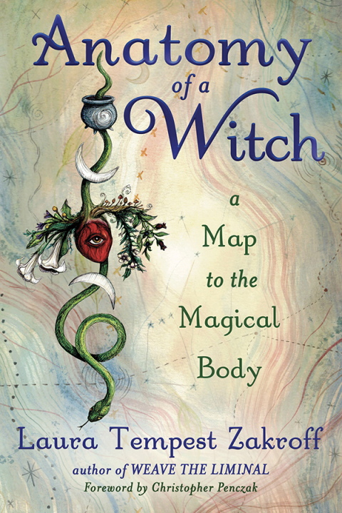 Cover image for book Anatomy of a Witch