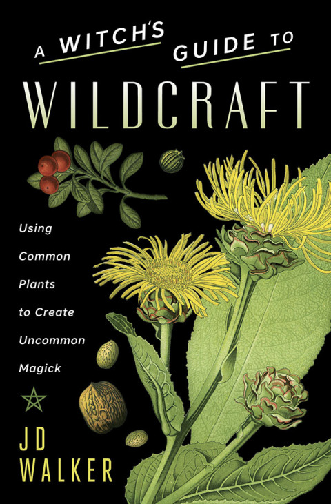 Cover image for book Witch's Guide to Wildcraft