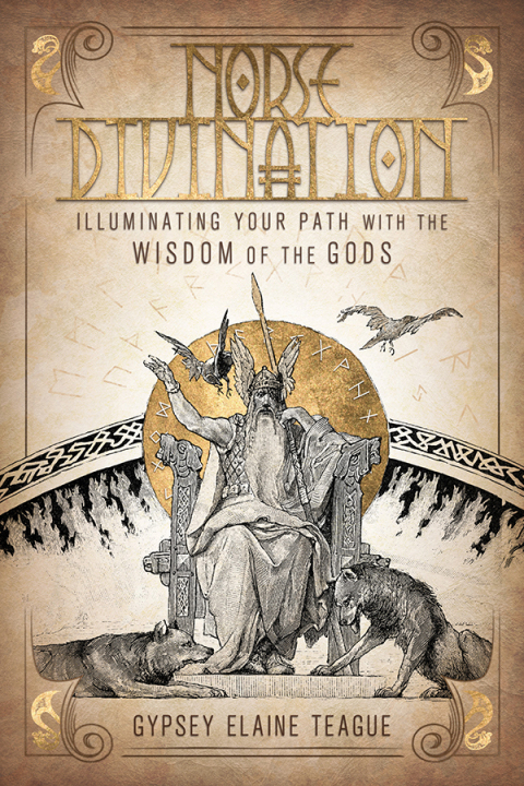 Cover image for book Norse Divination