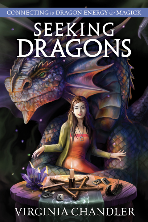 Cover image for book Seeking Dragons