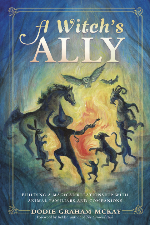 Cover image for book A Witch's Ally
