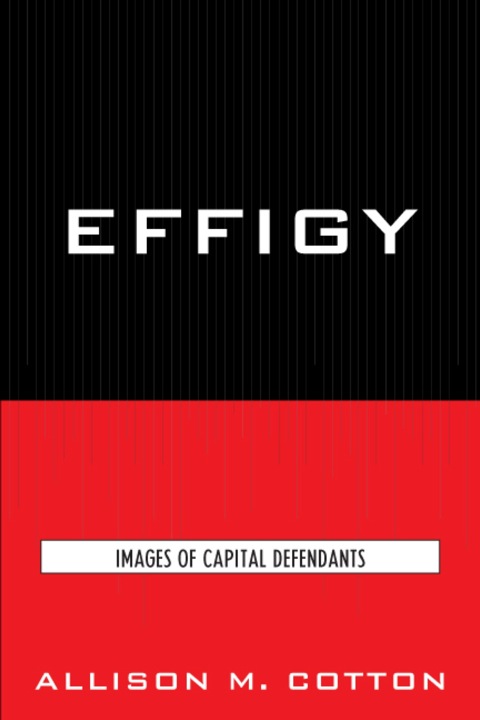 Cover image for book Effigy