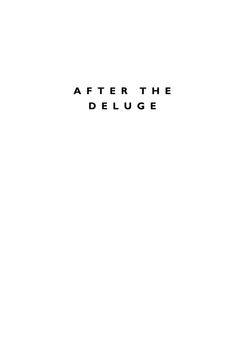 Cover image for book After the Deluge