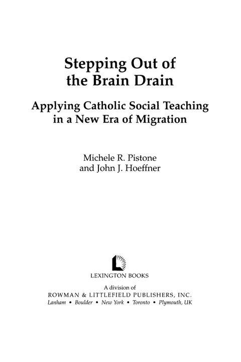 Cover image for book Stepping Out of the Brain Drain