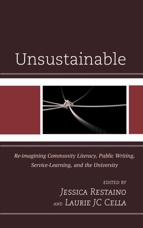 Cover image for book Unsustainable
