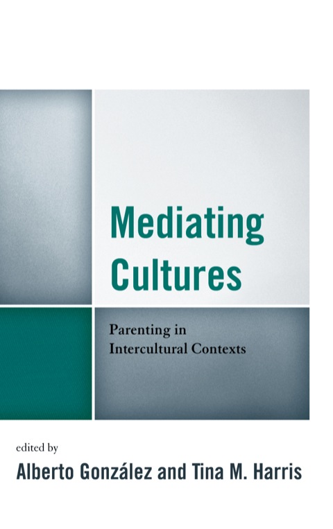 Cover image for book Mediating Cultures