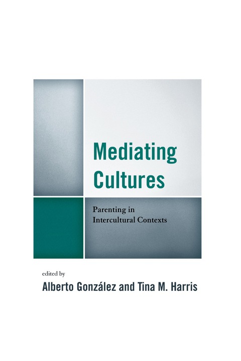 Cover image for book Mediating Cultures