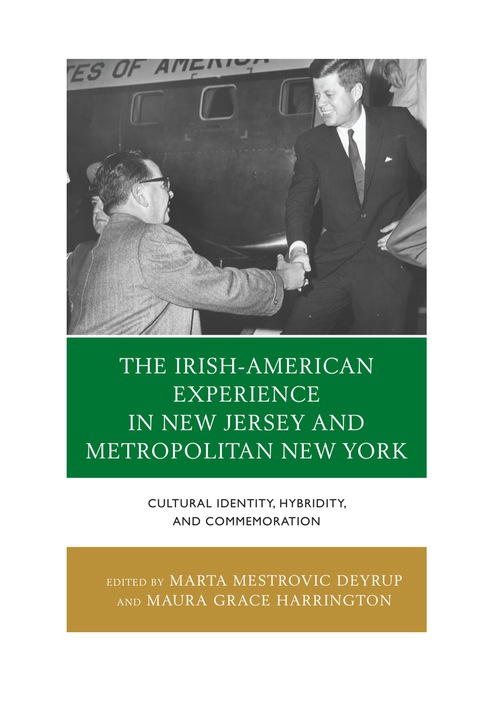 Cover image for book The Irish-American Experience in New Jersey and Metropolitan New York