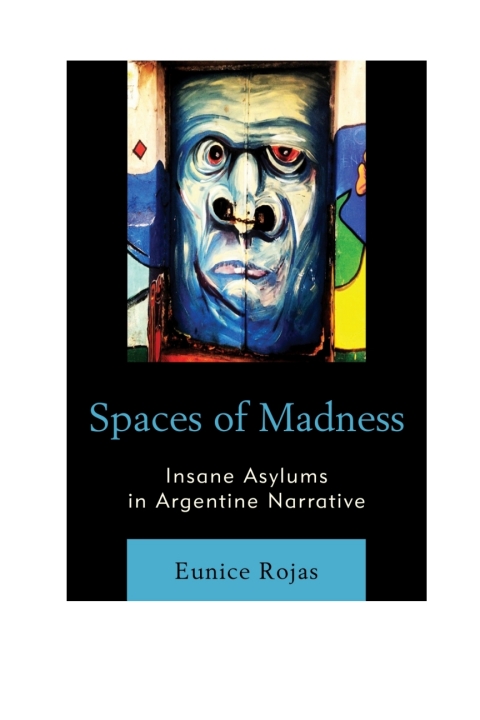 Cover image for book Spaces of Madness