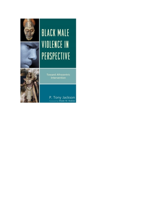 Cover image for book Black Male Violence in Perspective