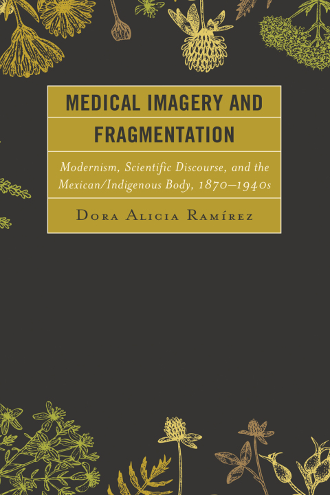 Cover image for book Medical Imagery and Fragmentation
