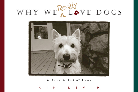 Cover image for book Why We Really Love Dogs