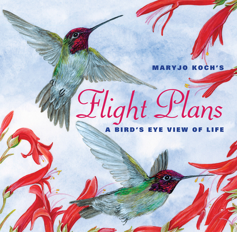 Cover image for book Flight Plans