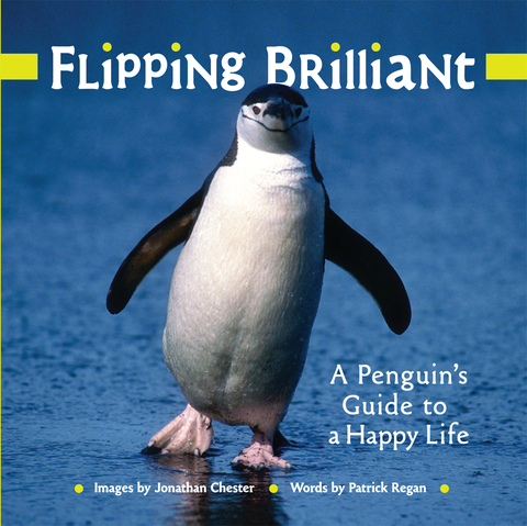 Cover image for book Flipping Brilliant