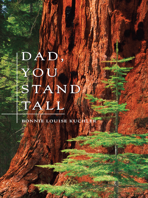 Cover image for book Dad, You Stand Tall