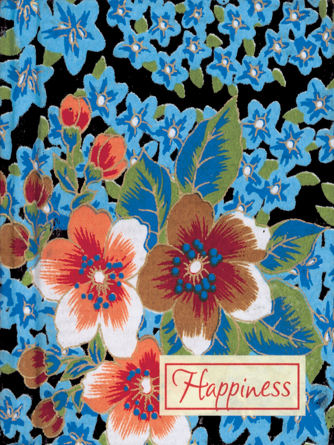 Cover image for book Happiness