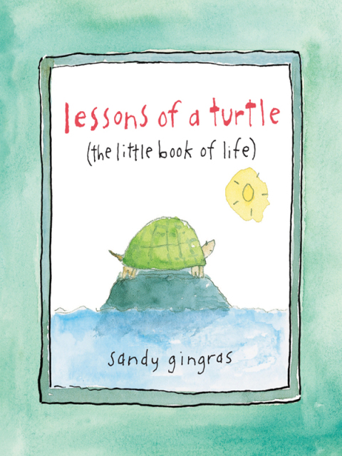 Cover image for book Lessons of a Turtle