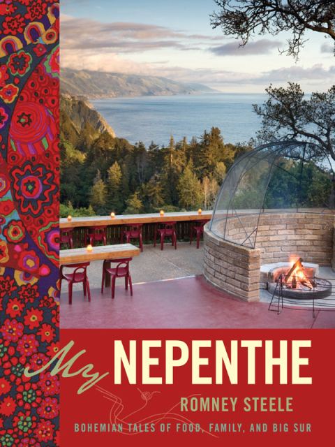 Cover image for book My Nepenthe