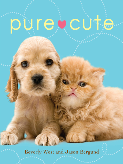 Cover image for book Pure Cute