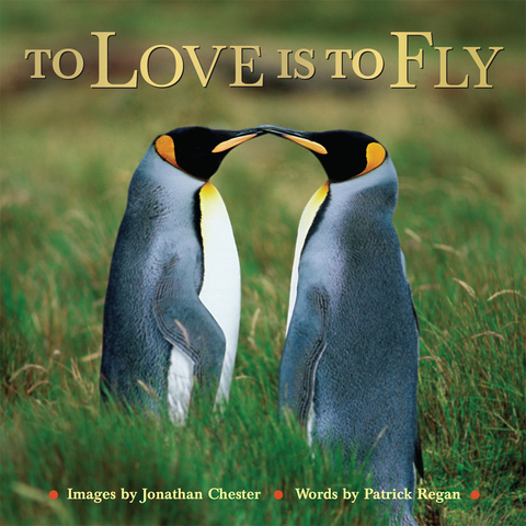 Cover image for book To Love Is to Fly