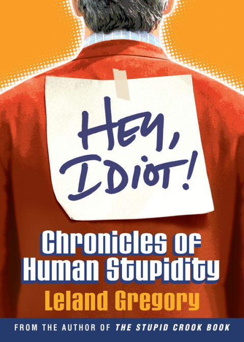 Cover image for book Hey, Idiot!