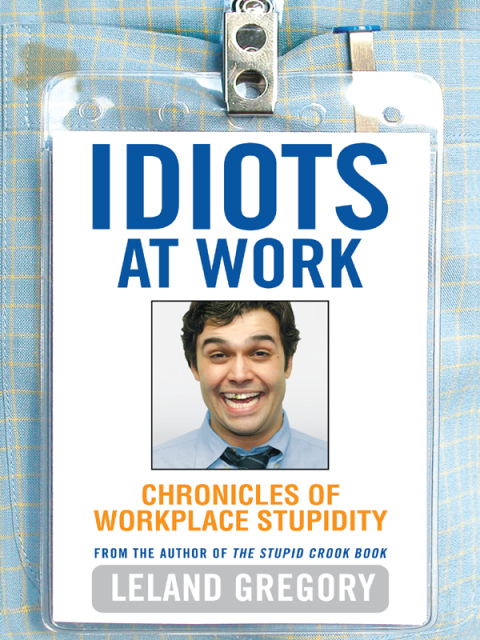 Cover image for book Idiots at Work