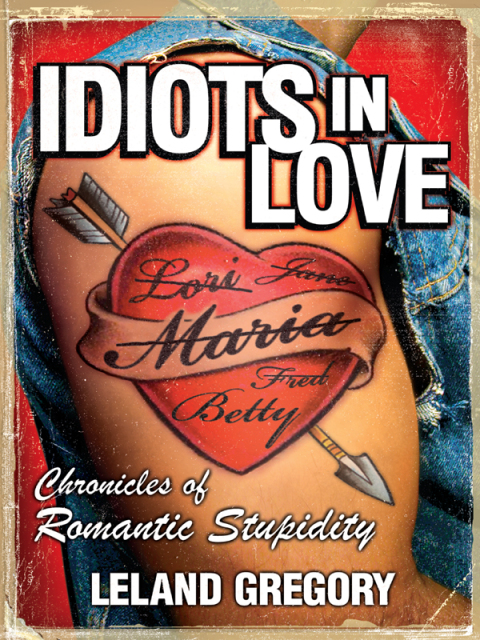 Cover image for book Idiots in Love