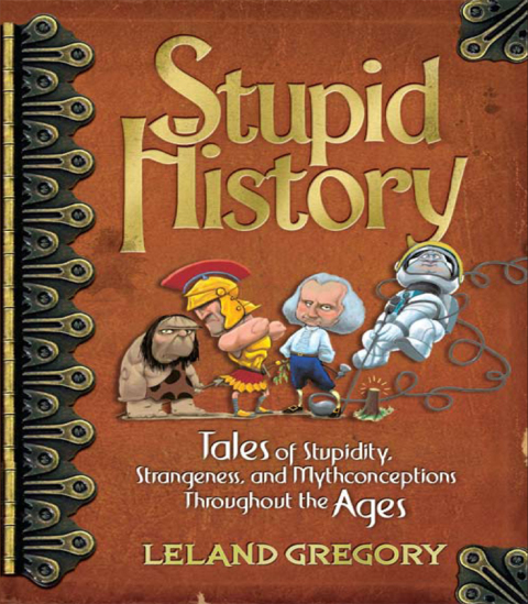 Cover image for book Stupid History